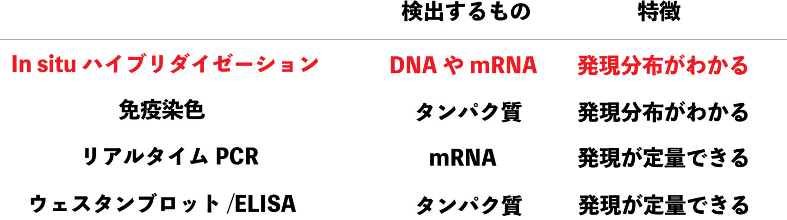 解決In situ ハイブリダイゼーション法やFISH蛍光in situ ハイブリダイゼーションとは