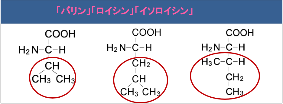 解決 塩基性アミノ酸と酸性アミノ酸の分類