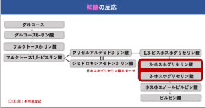 解決 解糖はどのようにして行われているのか