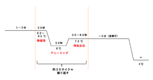 解決 Pcrの原理がよく分かる Pcr法の長所 短所とは