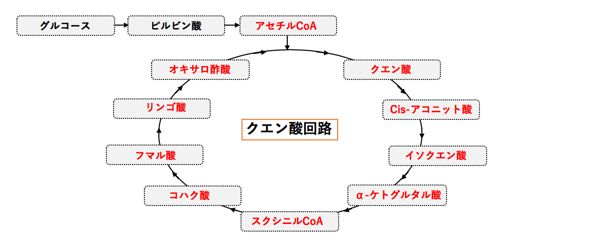 オキサロ酢酸
