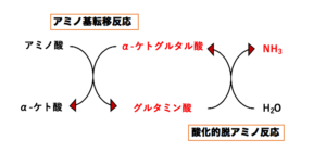 レベルを上げる要素