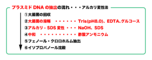 解決 プラスミドdnaの抽出法について