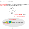 酵母ツーハイブリッド法の原理